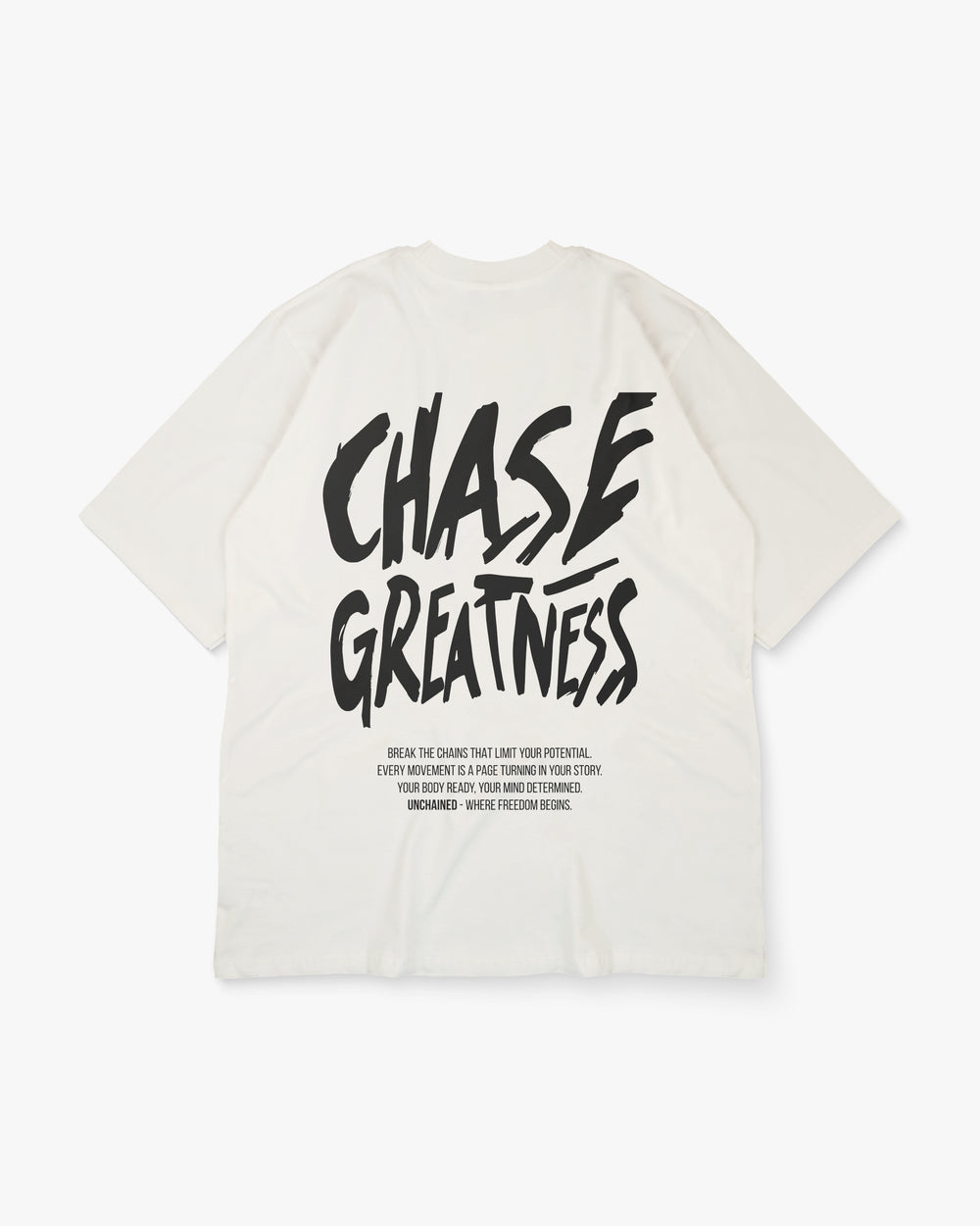 T-SHIRT OVERSIZE CHASE MIXTE Beige